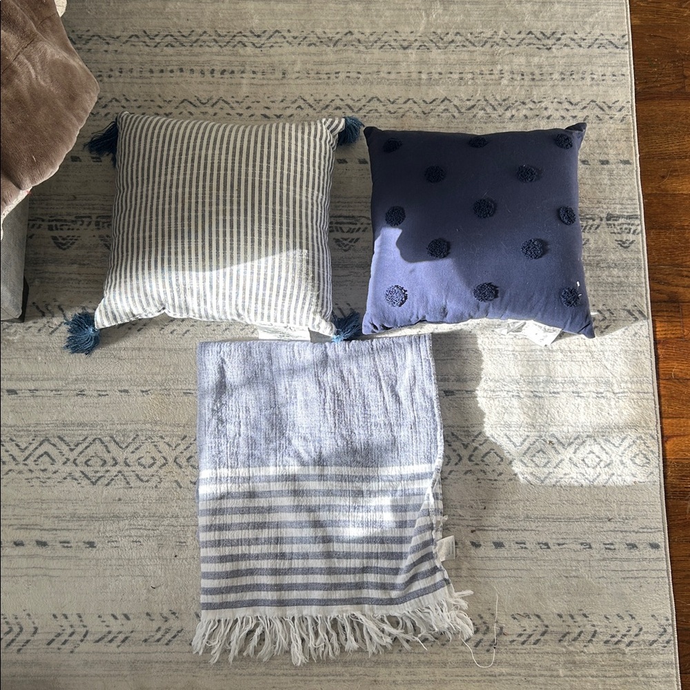 Target Blue and White Accent Pillows - Picture 1 of 6
